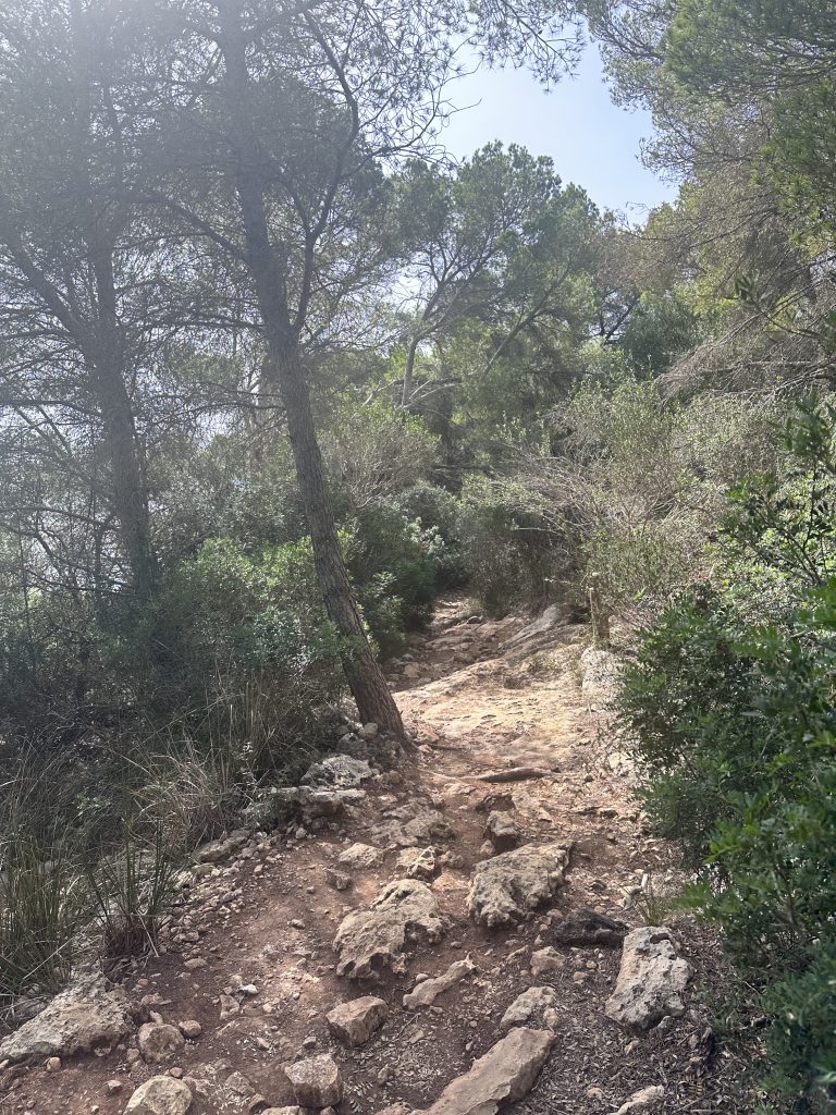 Vandring på Menorca - Camí de Cavalls