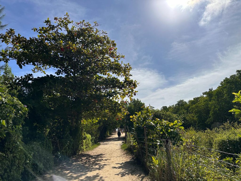 Stränder i Playa del Carmen Playa 88

